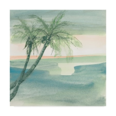 Chris Paschke 'Peaceful Dusk I Tropical' Canvas Art,35x35